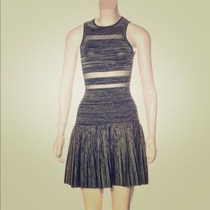 Ronny Kobo Crew Neck mini dress